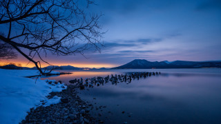 Lake rocks tree mountain evening - a tree in the foreground free wallpaper for desktop