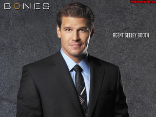 Dan scott man suit tie - a wall behind free wallpaper