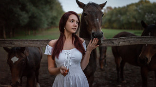 Woman white dress horse field 3 - a horse in a field free wallpaper