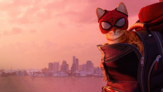 Cat spider man backpack city - foto realistic free wallpaper