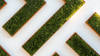 White wall green plant arrow - geometric shape free wallpaper