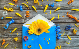Yellow flower blue envelope confetti - mail art free wallpaper