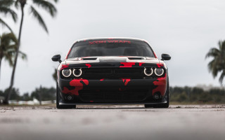 Red camo car palm trees - palm tree free wallpaper for desktop