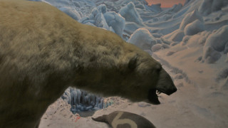 Polar bear museum exhibit penguin - a polar bear free wallpaper for desktop