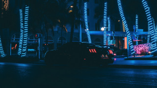 Car palm street synthwave neon - drew tucker free wallpaper