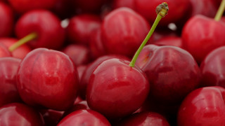 Cherry closeup greenstem macro blurry - cherry free wallpaper