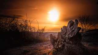 Wooden bench sunset clouds tree - backlight free wallpaper