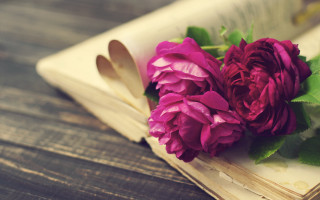 Book flowers spoon roses beach - constance copeman free wallpaper