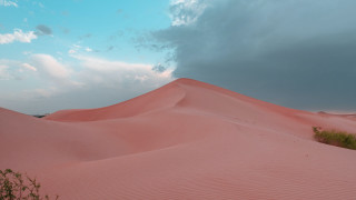 Large sand dune bush cloudy - small free wallpaper