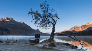 Lone tree island lake mountains - a lone tree free wallpaper