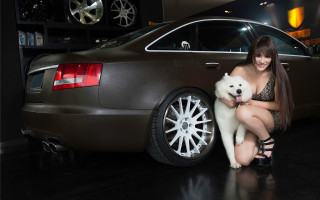 Woman dog showroom luxury precisionism - luxury free wallpaper