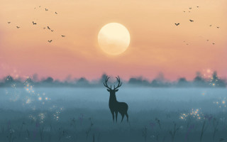 Deer sunset field birds mountain - overhead in the sky above free wallpaper