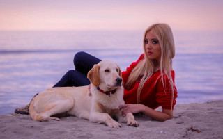 Woman beach dog fashion photography - the beach free wallpaper for desktop