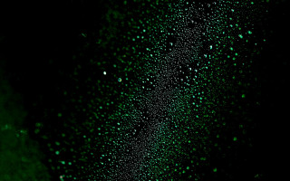 Green water drops macro starry - particle free wallpaper for desktop