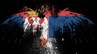 Bird crown red wings painting - beta vukanović free wallpaper