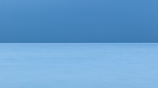 Lone bird blue surface sky - minimalist free wallpaper for desktop
