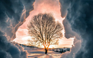 Snowy tree sunset cityscape clouds - winter free wallpaper