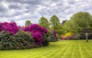 Lush green field purple flowers - a bench in the foreground free wallpaper