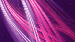 Purple pink lines light black - a white line free wallpaper