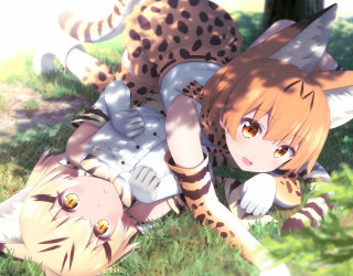 Girl cheetah laying grass field - ayo free wallpaper