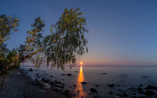 Moonlit lake shore tree stars - a full moon in the distance free wallpaper
