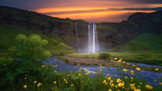 Waterfall yellowflowers greenvalley impressionist nature - a waterfall in the background free wallpaper