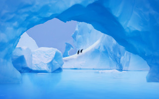 Penguins ice cave icebergs mountain - iceberg free wallpaper