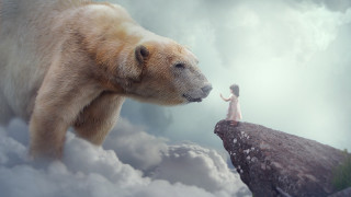 Woman cliff polarbear man mountains - polar free wallpaper