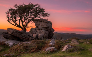 Tree rock formation mountains sunset - a rock formation free wallpaper
