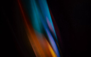 Blurry vase flower black background - triadic free wallpaper