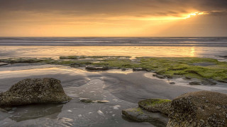 Beach rocks grass sunset cloudy - rock and grass free wallpaper