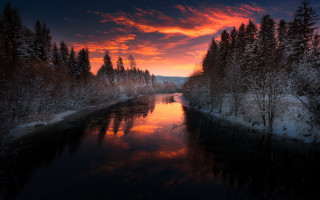 River sunset trees snow forest - a sunset in the background and trees free wallpaper