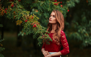 Woman red dress berry tree - berry free wallpaper for desktop