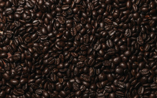 Coffee beans white brown borders - a brown border free wallpaper