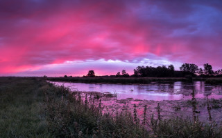 Pink sky river trees birds - dave allsop free wallpaper