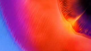 Colorful blurry face neck generative - affinity photo free wallpaper