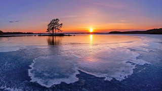 Sunset frozen lake lone tree - frozen free wallpaper