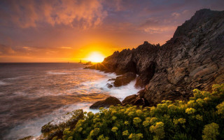 Sunset ocean rockycliff yellowflowers lighthouse - a rocky cliff free wallpaper