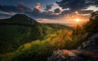 Sunset mountain forest sky clouds - a forest below free wallpaper