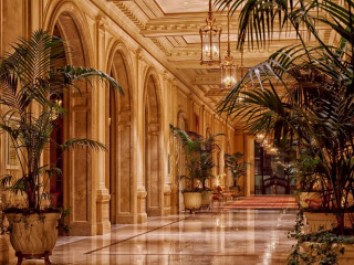 Large hallway chandelier plants ceiling - a chandelier free wallpaper