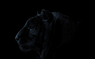 Tiger head water droplets monochrome - diego gisbert llorens free wallpaper