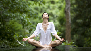 Woman yoga forest white shirt - the wood free wallpaper for desktop