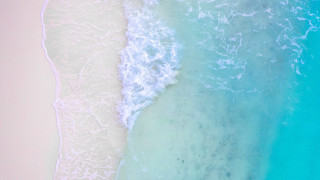 Beach wave person surfboard microscopic - fiona stephenson free wallpaper