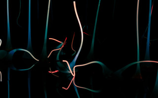 Black background red blue light - light in the middle free wallpaper