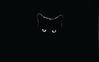 Black cat white eye crescent - visible free wallpaper for desktop