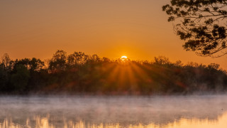Foggy lake autumn sunset trees - the fog free wallpaper