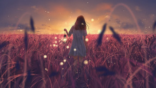 Girl field sunset flower fireflies - firefly free wallpaper