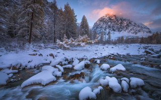 Snowy forest river mountains pink - a river free wallpaper