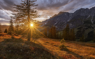 Sunbeam mountain range trees grass - the foreground and a mountain range in the background free wallpaper