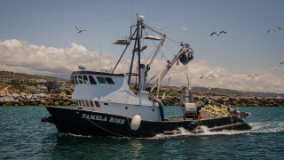 Boat birds shore houses hill - the water near a shore line free wallpaper